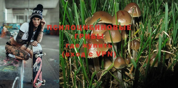 прущая мука Абаза